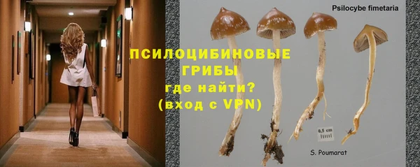 прущие крисы Абдулино