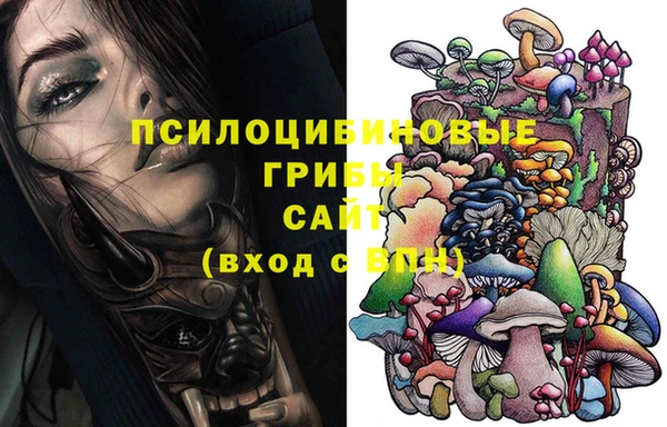ешки Абаза