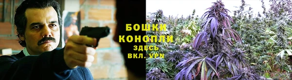 прущие крисы Абдулино