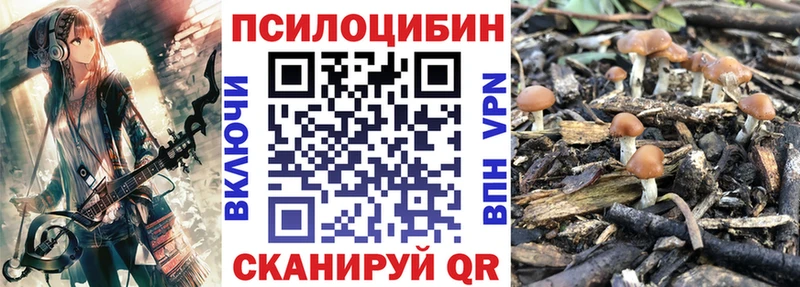 Псилоцибиновые грибы GOLDEN TEACHER  omg зеркало  Саратов 